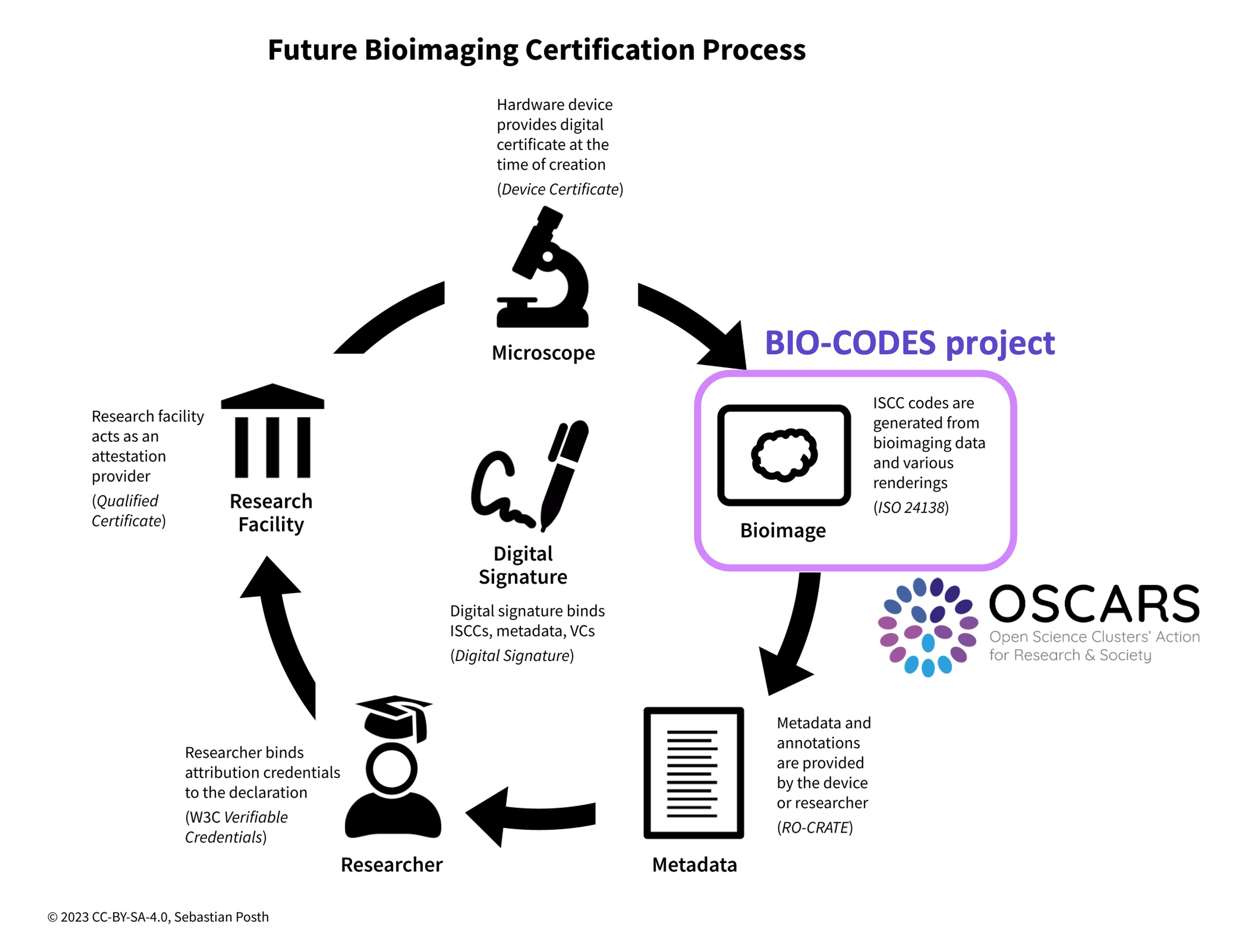 BIO-CODES project image