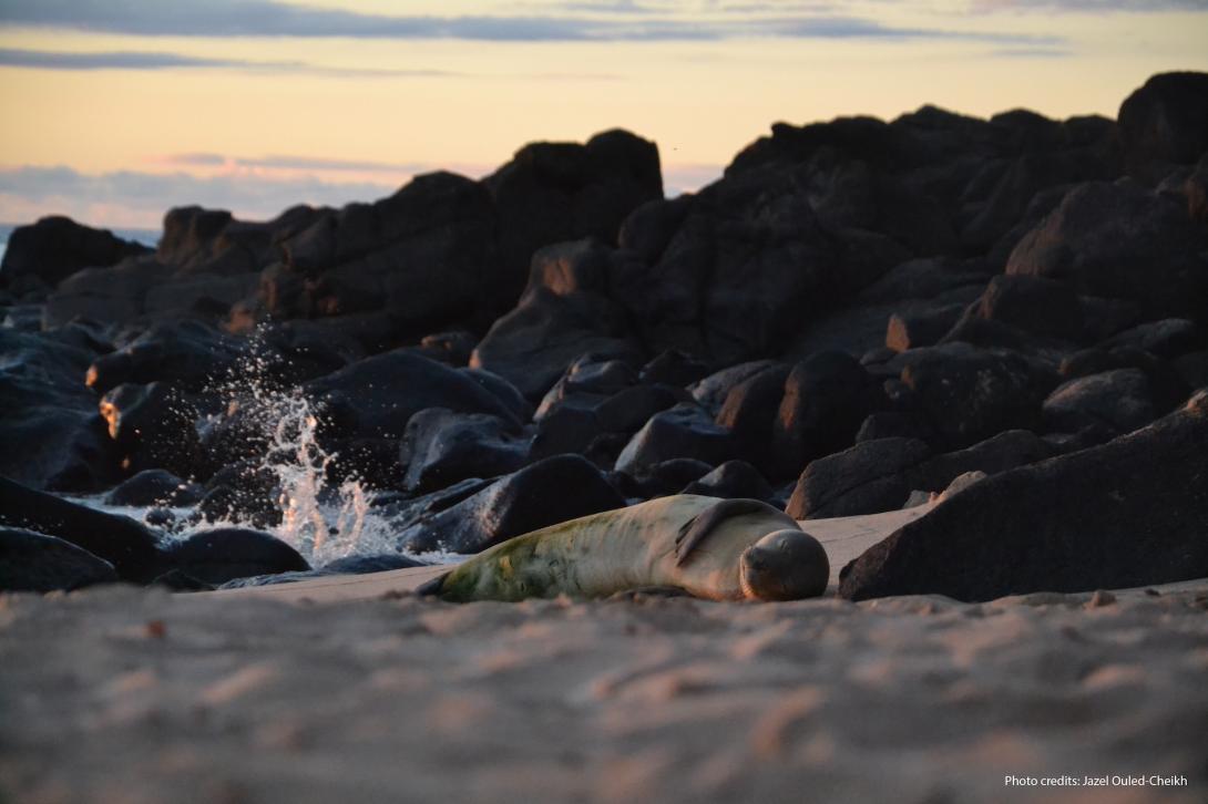 FAME project background image