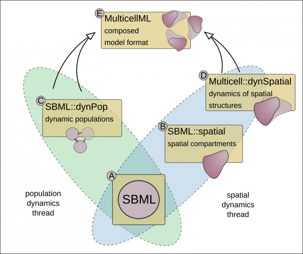 MultiCellML-TDR project image